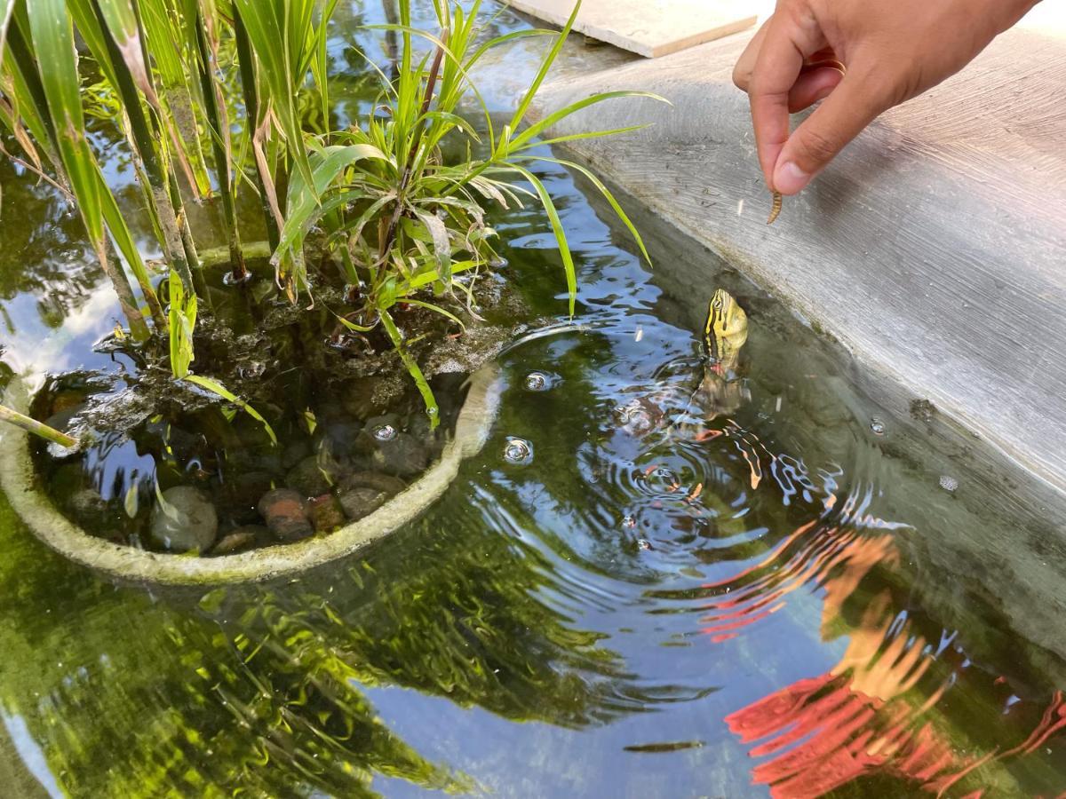 The Valerian Hotel Ubud